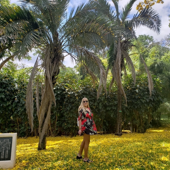 Meet your Posher, Suzy🌺 - Picture 4 of 12